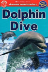 Dolphin Dive vignette