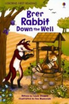 Brer Rabbit down the well vignette