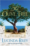 The olive tree vignette