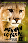 Mañana es tarde II vignette